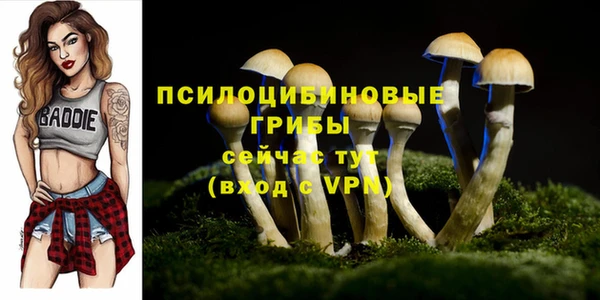 мдма Кодинск