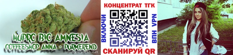Купить  Новый Оскол  ТГК концентрат 