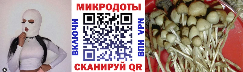 Купить  Новый Оскол  Псилоцибиновые грибы мухоморы 